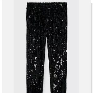 Zara NWT sequin pants - medium